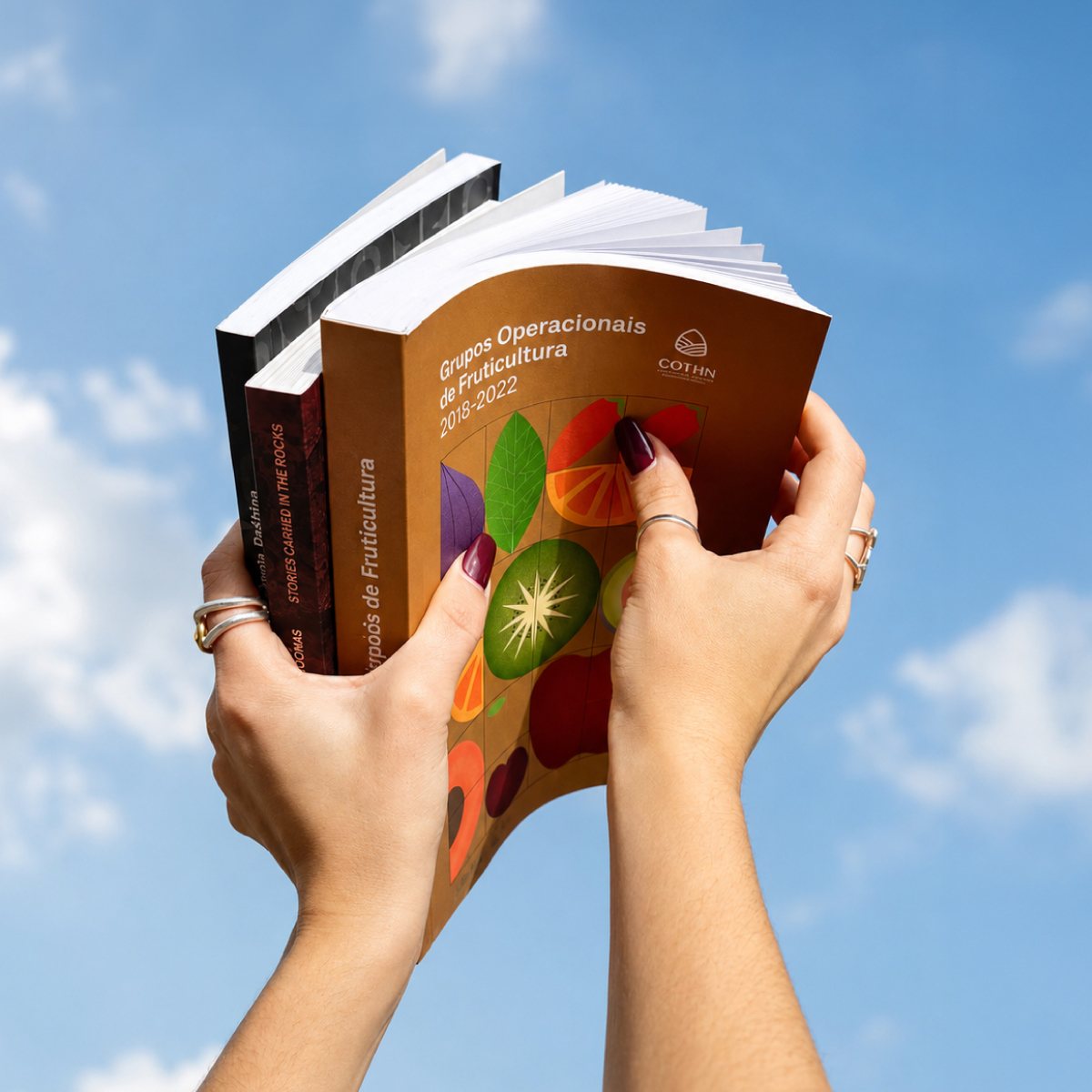 Livros